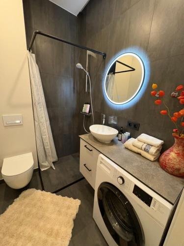Apartment Matīsa, Riga (foto 6)
