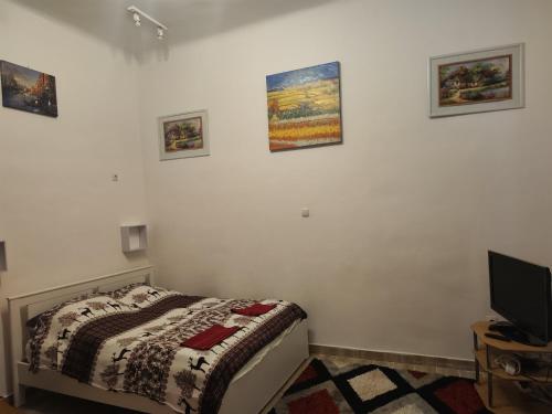 Erik Apartments, Budapešť (fotografie 8)