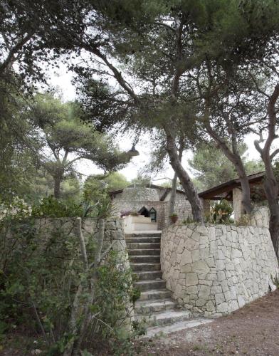 Trullo in the Wood, Nardò (fotografie 8)