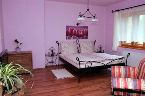 Apartmány PEMI Potštejn - image 9