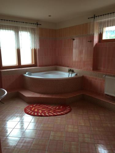 Vannas istaba, Apartmany PEMI Potstejn in Potstejna