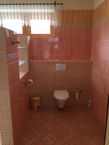 Apartmány PEMI Potštejn - image 10