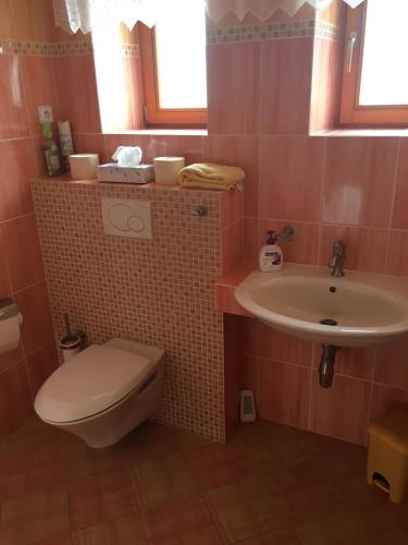 Apartmány PEMI Potštejn - image 2