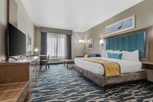 1 king bed, 1 sofa bed