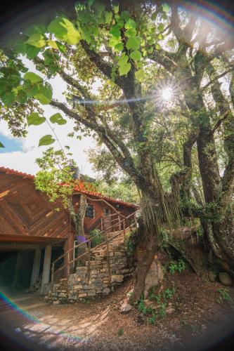 cabañas cruz verde (cabanas cruz verde) in Pinal De Amoles