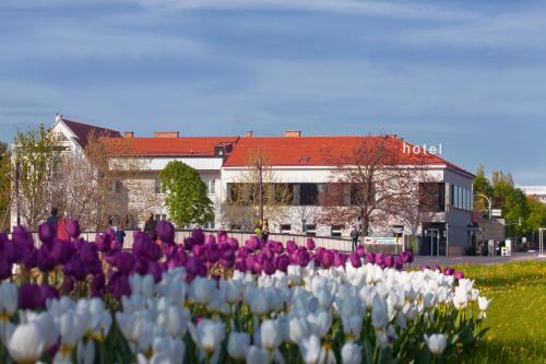 Strandhotel Alte Donau in Wien