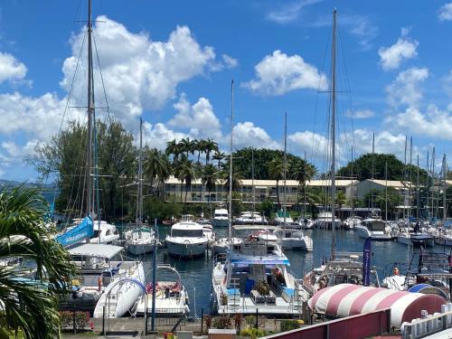 Appartement F3 à Marina Pointe-du-Bout, Martinique, proche plage - FR-1-765-34 - Location saisonnière - Le Robert