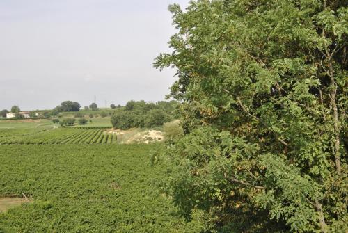 Seiterre Agriturismo Tenuta San Leone