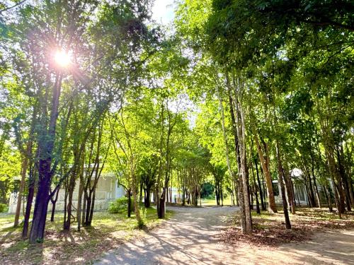 ラチャブリー The Golden View Resort Suan Phueng 3つ星 ホテル 客室