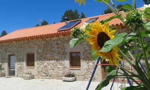  Casa de Campo Quinta do Perelhão, Rapoula do Côa bei Castelo Mendo