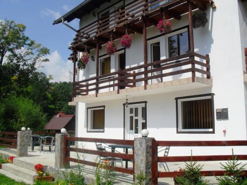 Vila Doina Branului in ซิมอน