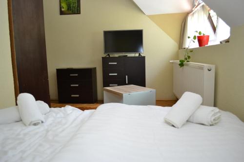 Guestroom, Ezustfenyo Hotel in Telkibanya