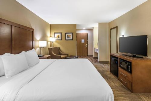 Comfort Inn Sedalia Station - image 6
