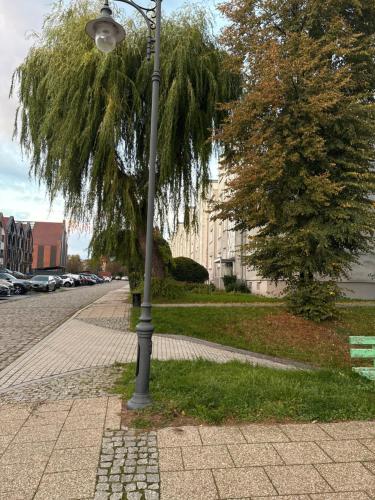 Apartament Stare Miasto Malbork in Malbork
