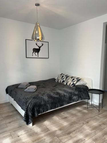 Apartament Fibra Americano