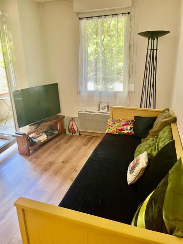 Appartement T2 TOULOUSE ST MARTIN DU TOUCH in Toulousse-Blagnac Airport