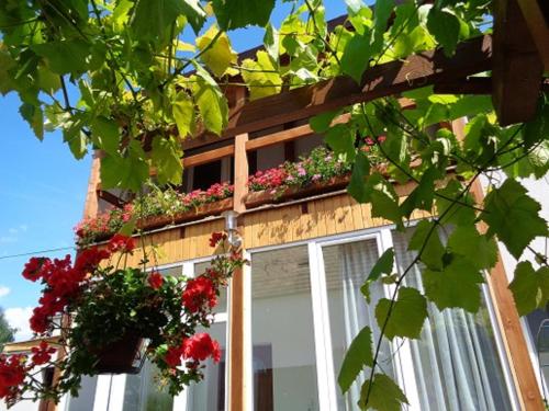 Gasthaus Helena in Mörbisch am See, Österreich