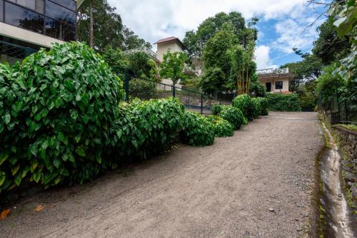 Hotel Treetop Thekkady