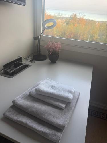 2 rooms in 100 sqm apt in Alna