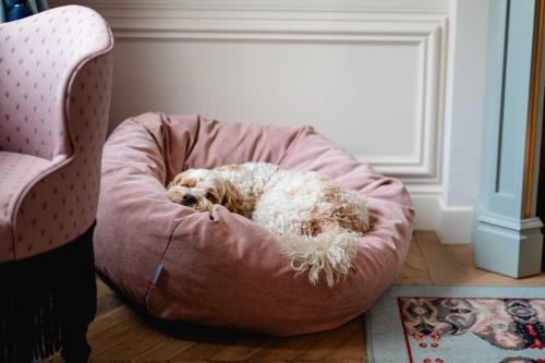 The Leo Grand obrázok