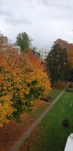 Komfortable 2-Zimmer-Monteurwohnung für 4 Personen in Leipzig, Lipsia (foto 11)