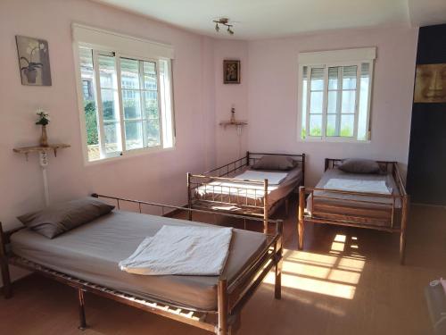 Albergue o Apalpador