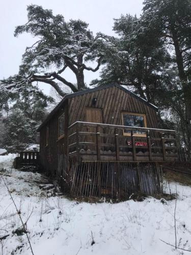 Pine Marten Bar Glenmore Treehouse in Lohmorliha