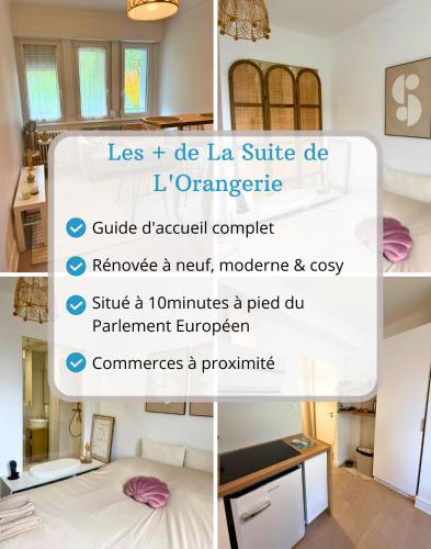 La Suite de L'Orangerie - Cosy - Centre Ville - Commerces à Proximité (La Suite de L'Orangerie - Cosy - Centre Ville - Commerces a Proximite) in Quartier de l'Orangerie