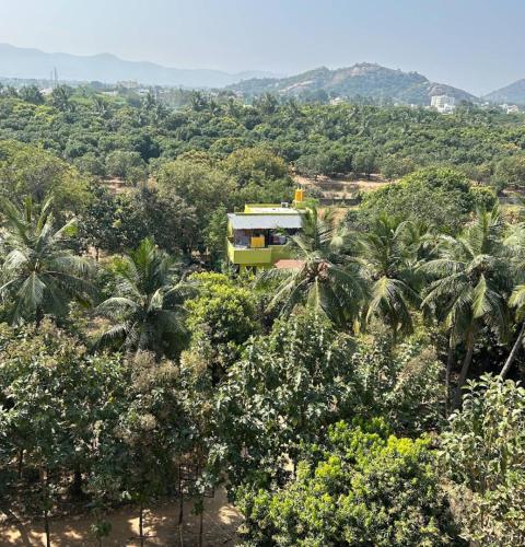 Thanapalli FarmHouse - Vellore Thanapalli FarmHouse - Vellore