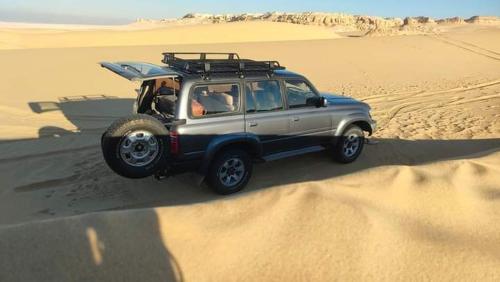 White desert Tent in Farafra
