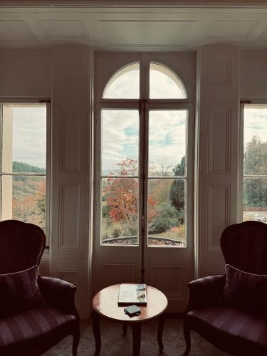 設施, The Falcondale Country House Hotel in 蘭彼得