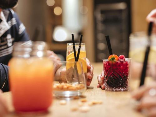 ibis Lyon Gerland Musée des Confluences Hotel de charme La Mulatière