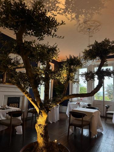 餐廳, The Falcondale Country House Hotel in 蘭彼得