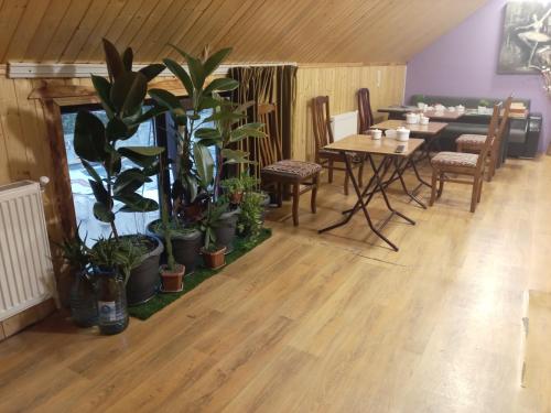 Παροχές, Baku Express Hostel in Μπακού