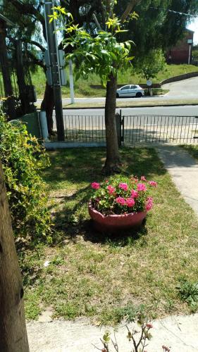 Monoambiente Tradicional in เปย์ซานดู