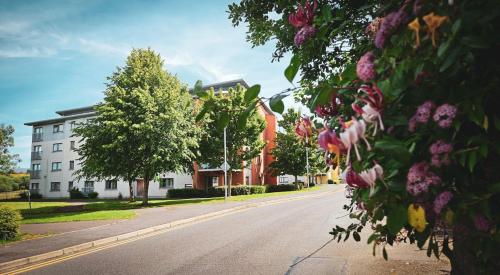 Clarion Village - image 6