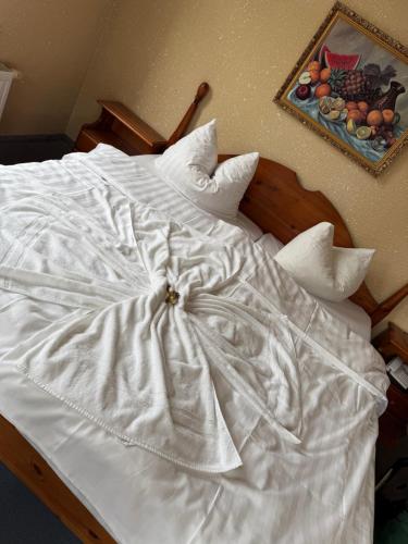 Hotel Leonis in Bad Schlema