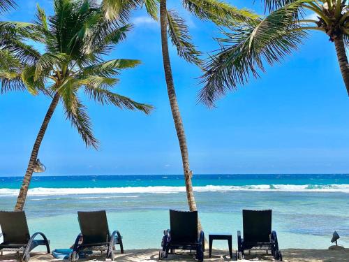 Beach, Cozy Beach Front Condo, Pool in Mar De Sol