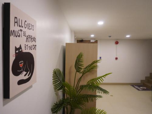 設施, 清邁特萊比膠囊旅舍 (Trybe Capsule Hostel Chiang Mai) in 清邁