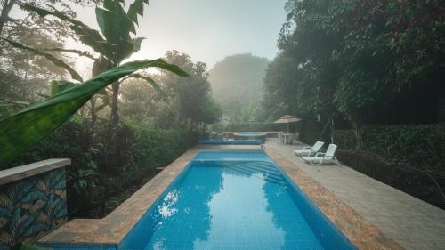 Hot tub, Hosteria los Cedros de Mindo in Mindo