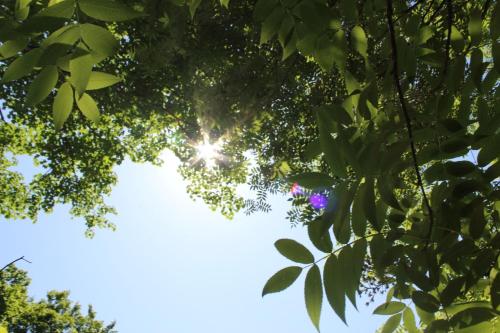 WEND URABANDAI - Vacation STAY 45606v