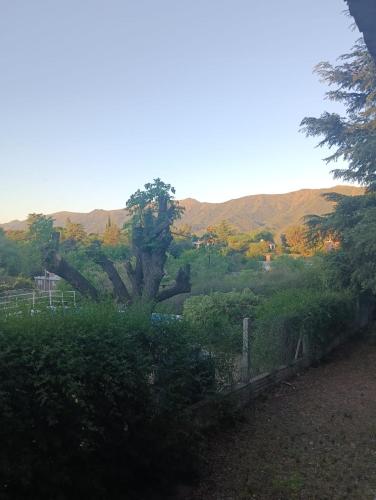 Los Algarrobos in Cosquin