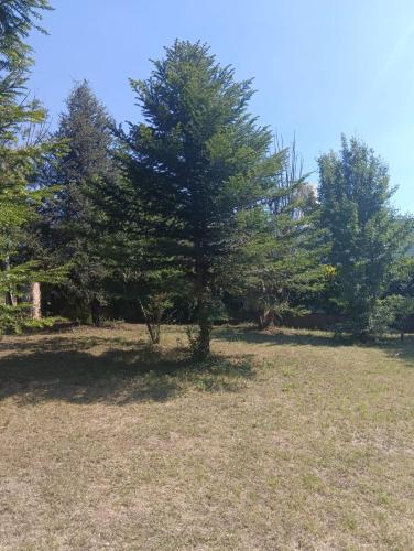 Los Algarrobos in Cosquin