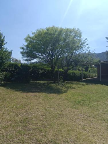 Los Algarrobos in Cosquin