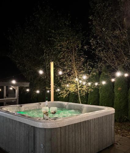 Skandynawia in 烏厄爾斯米納拉尼