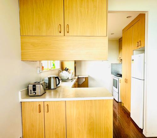 Beautiful villa by the sea in Mount Roskill