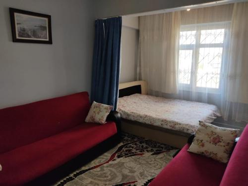 Dormitory Pension Sofas Bunk Bed Rooms in Homestay Apartment, Antalya (foto 2)