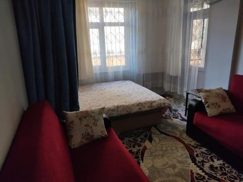 Dormitory Pension Sofas Bunk Bed Rooms in Homestay Apartment, Antalya (foto 4)