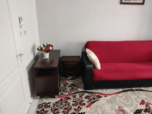 Dormitory Pension Sofas Bunk Bed Rooms in Homestay Apartment, Antalya (foto 7)
