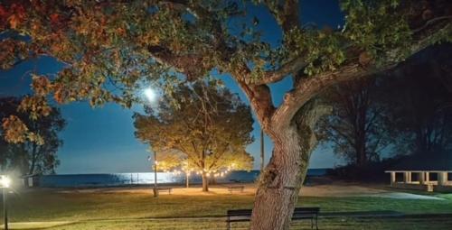 The Lake Huron Resort - image 7